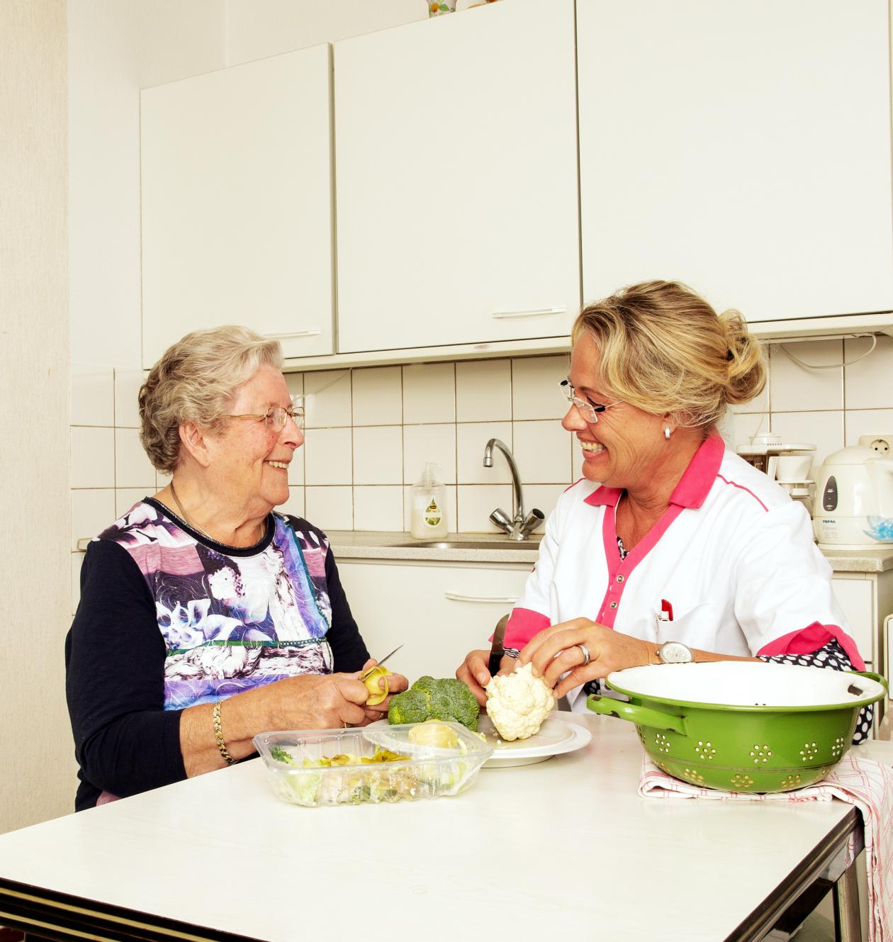 Zorgorganisatie - Supporter Van Zelfstandigheid - Vierstroom